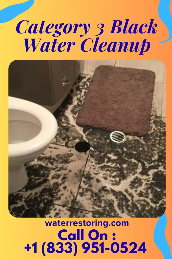 Category 3 Black Water Cleanup in St. Charles, SD