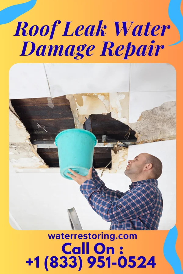 Roof Leak Water Damage Repair in St. Charles, SD