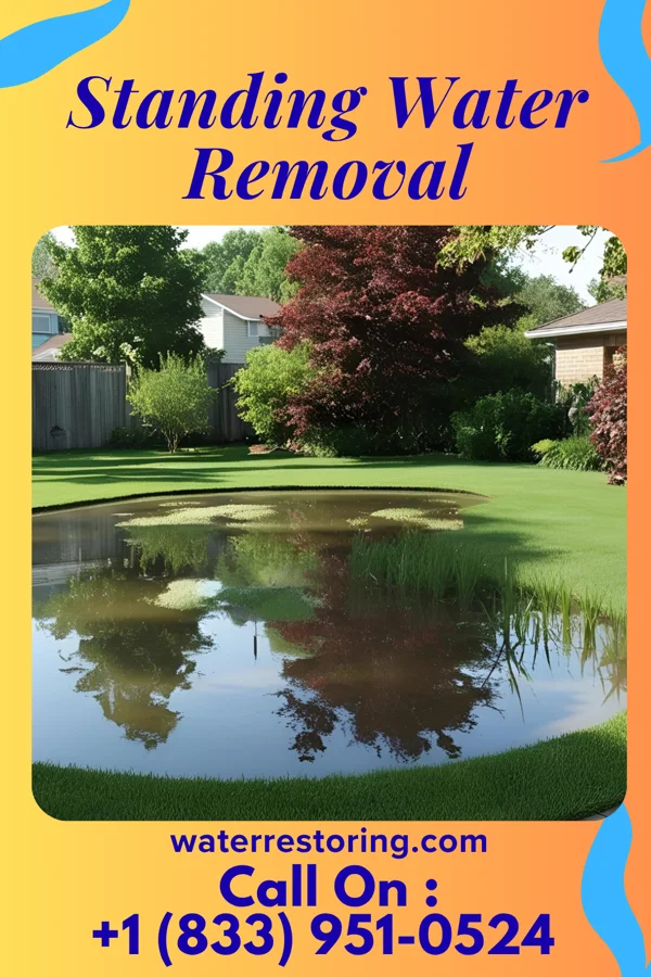 Standing Water Removal in St. Charles, SD